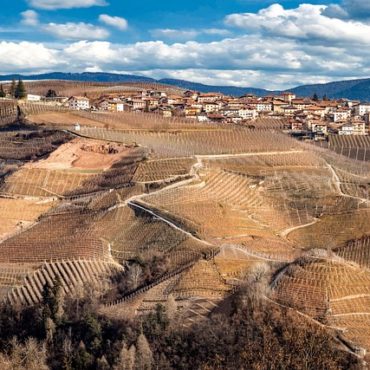 Valais Viticole: L'Ubace, Nouvel Écrin pour des Vins d'Exception Face au Réchauffement Climatique