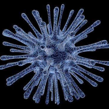 L'Expertise Genevoise des HUG, Fer de Lance Mondial Contre les Virus Émergents