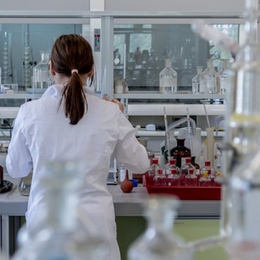 L'Écho du Hantavirus : Plaidoyer pour une veille sanitaire mondiale face aux menaces négligées