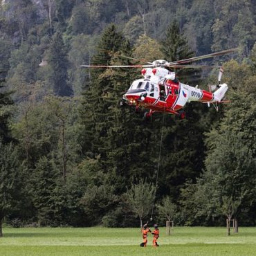 Drame au Lac Noir: Un Randonneur Perd Tragiquement la Vie Sous un Arbre Tombé