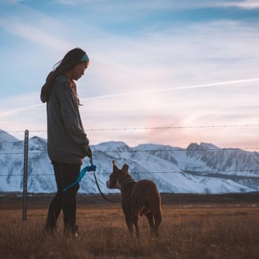 Maltraitance animale ou malentendu? L'affaire du chien de Lutry enflamme la Romandie