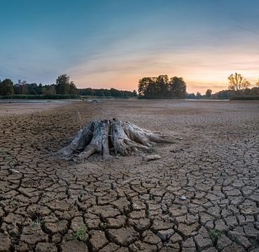 Le lac des Brenets à sec : la navigation totalement interrompue