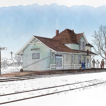 Neuer Vorfall am Basler Bahnhof: Lebende Tauben neben Tierkadavern entdeckt