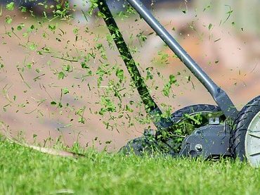 Vorstoss in Basel: Motion fordert nächtliches Fahrverbot für Rasenroboter zum Schutz von Igeln